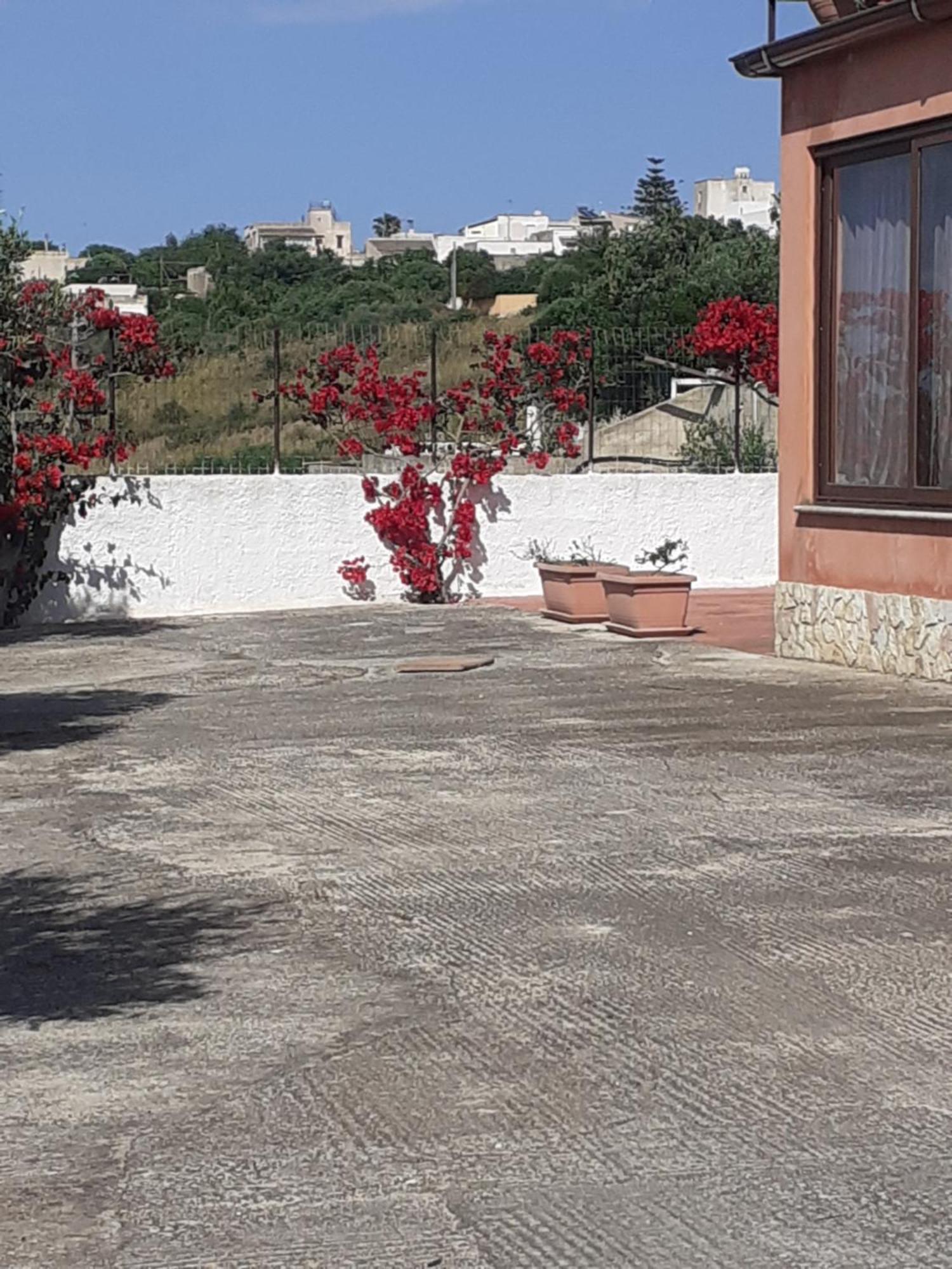 Panorama Casa Vacanze Marsala Zewnętrze zdjęcie